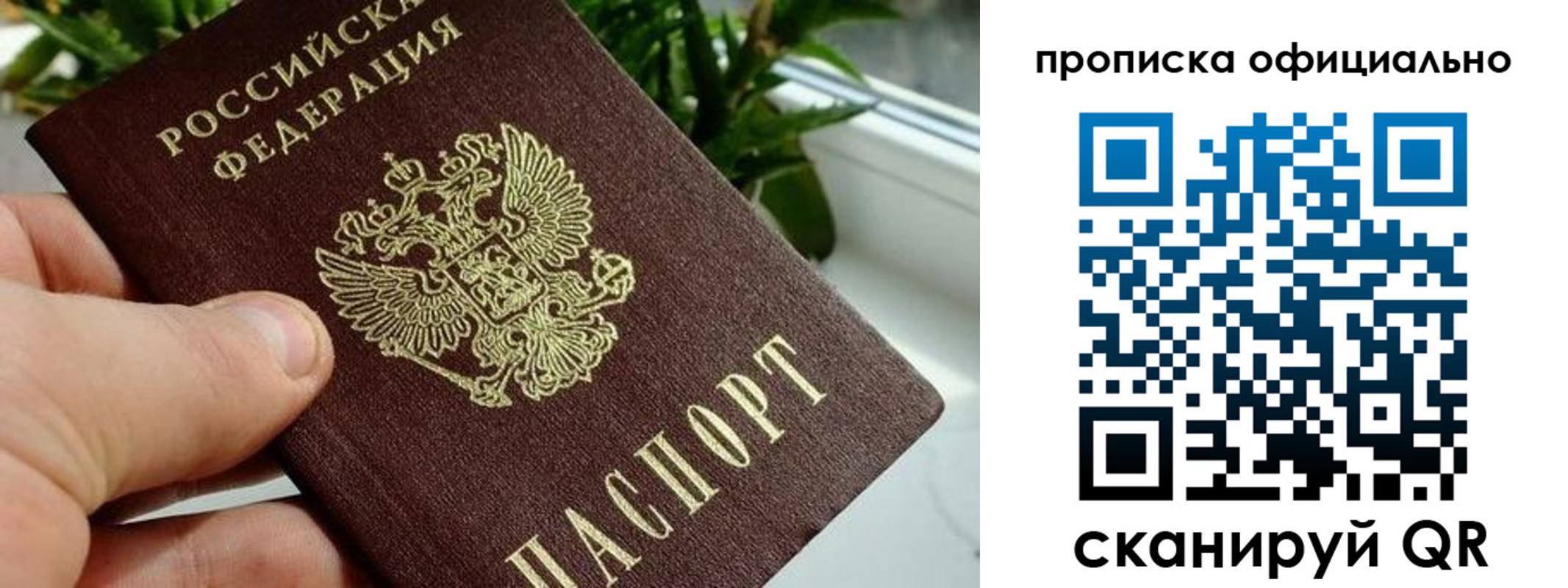 прописка поиск в Можайске